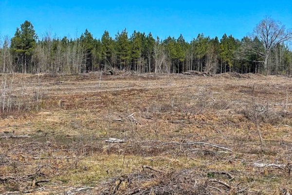 EbenezerRdBlackvilleBarnwellCountyLand