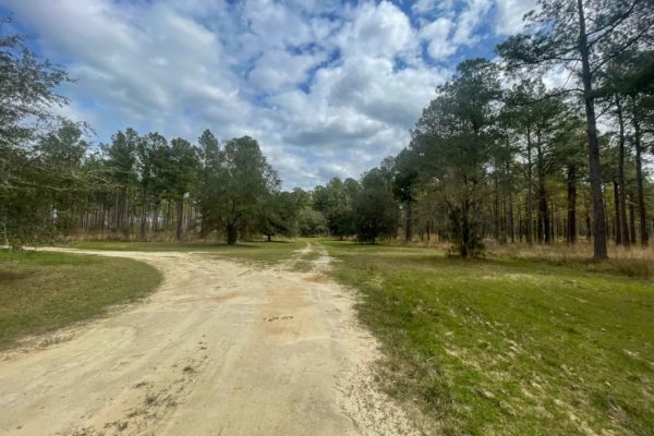 Santee River Betaw Plantation Property St Stephens