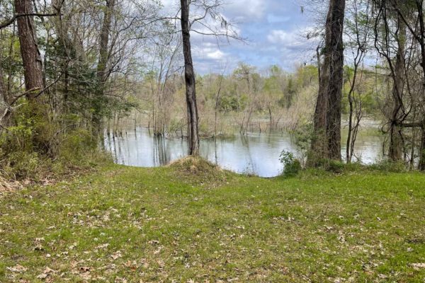 Santee River Betaw Plantation Property St Stephens