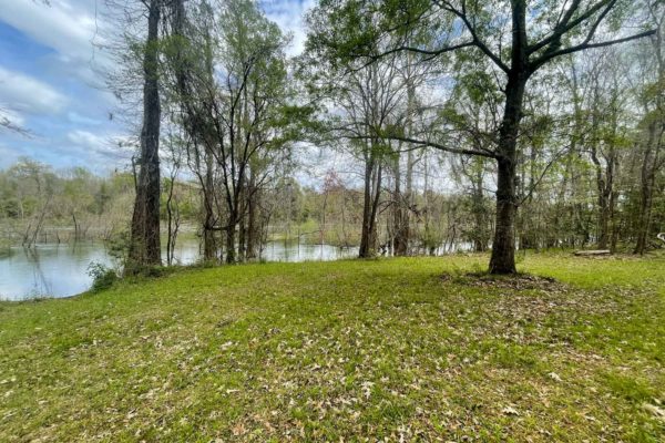 Santee River Betaw Plantation Property St Stephens