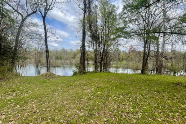 Santee River Betaw Plantation Property St Stephens