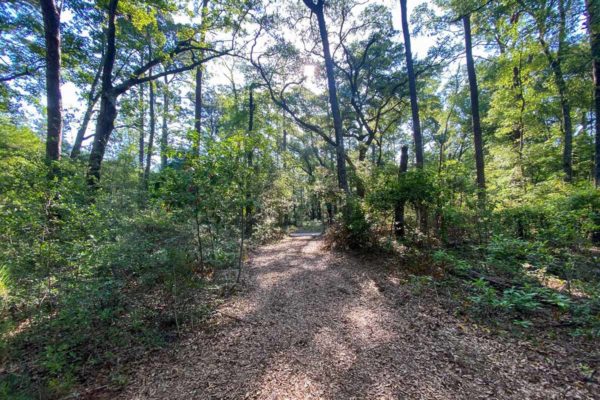 martins point road lot 8 wadmalaw