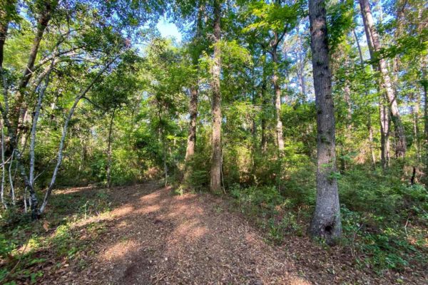 martins point road lot 8 wadmalaw