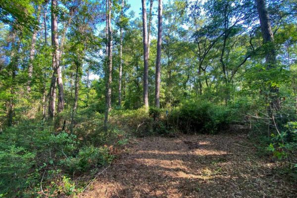 martins point road lot 8 wadmalaw