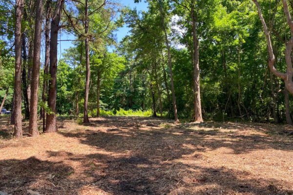 3331 Breakaway Trail Wooded Lot Johns Island Angel Plantation