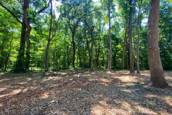 3331 Breakaway Trail Wooded Lot Johns Island Angel Plantation