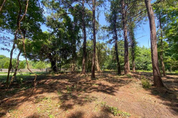 3331 Breakaway Trail Wooded Lot Johns Island Angel Plantation