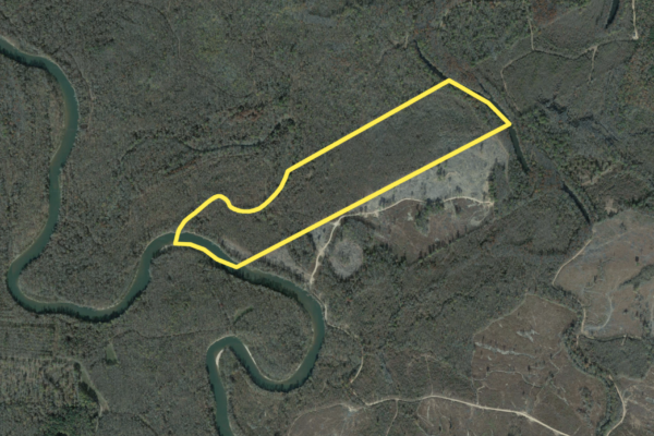 Leavell Tract Sumter County Recreational Land