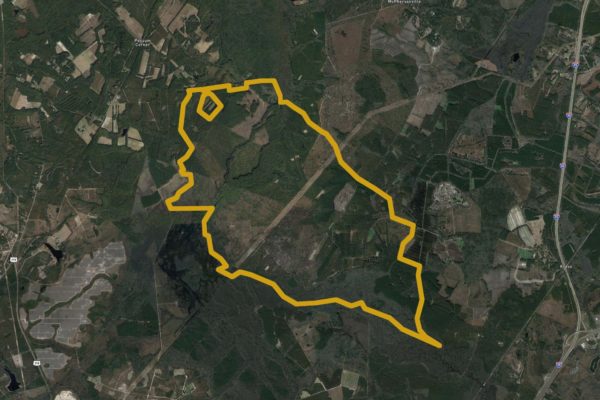 buckfield phase 1 3654 acres conservation property jasper hampton counties