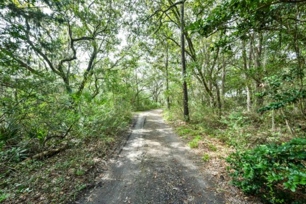 Waterfront Property for Sale Johns Island Tidal Creek Home with Land 2569 Abbapoola Road