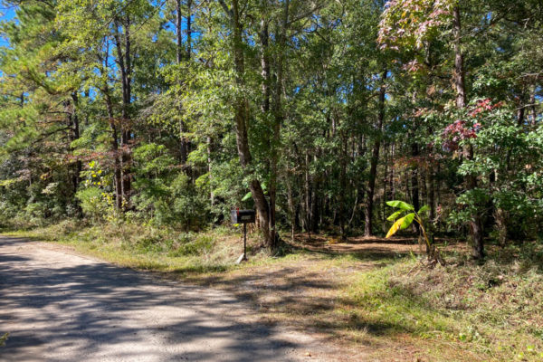 Vacant Land Johns Island 2806 Evans Way