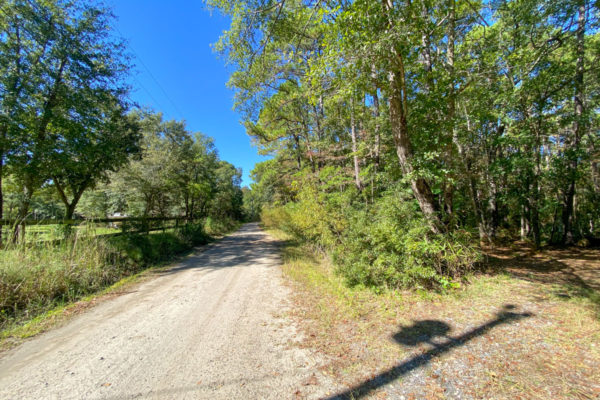 Vacant Land Johns Island 2806 Evans Way