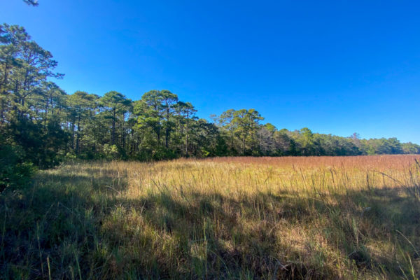 Vacant Land Johns Island 2806 Evans Way