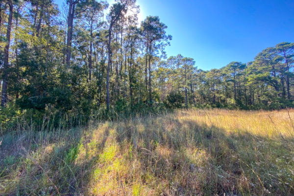 Vacant Land Johns Island 2806 Evans Way