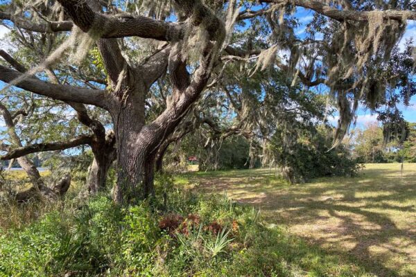 waterfront lot wadmalaw island 6001 selkirk plantation road