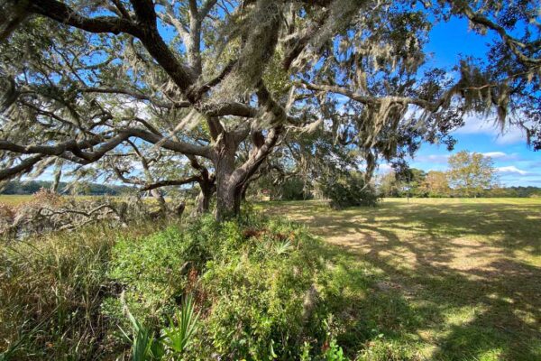 waterfront lot wadmalaw island 6001 selkirk plantation road