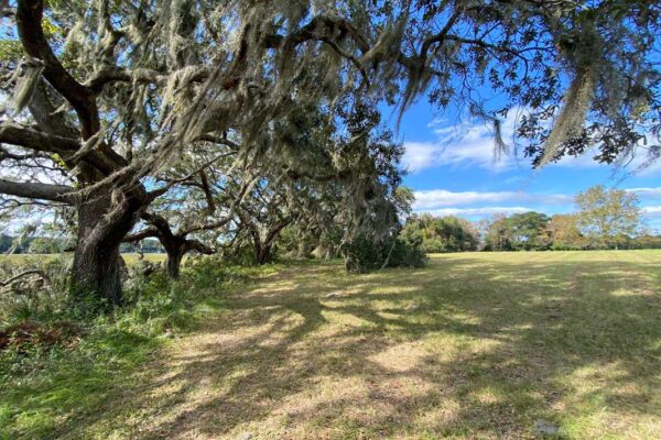 waterfront lot wadmalaw island 6001 selkirk plantation road