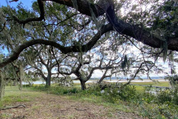 waterfront lot wadmalaw island 6001 selkirk plantation road