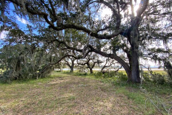 waterfront tidal creek lot wadmalaw island 6001 selkirk plantation road