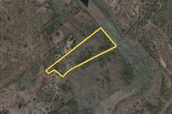 WigginsNorthPortion Acreage Green Pond Colleton County