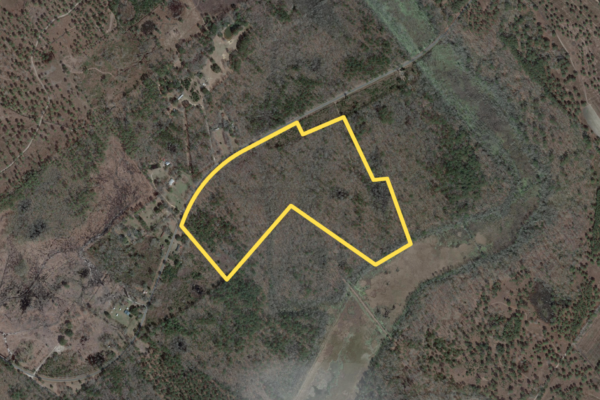 WigginsSouthPortion Colleton County Land Acreage Green Pond