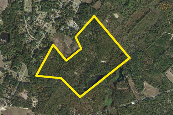 Orangeburg County SC Land Property Sold Norway Road