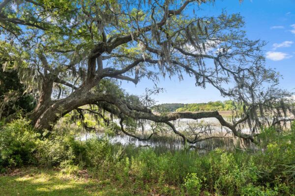 Waterfront Home in Meggett | 4411 Lord Proprietors Road