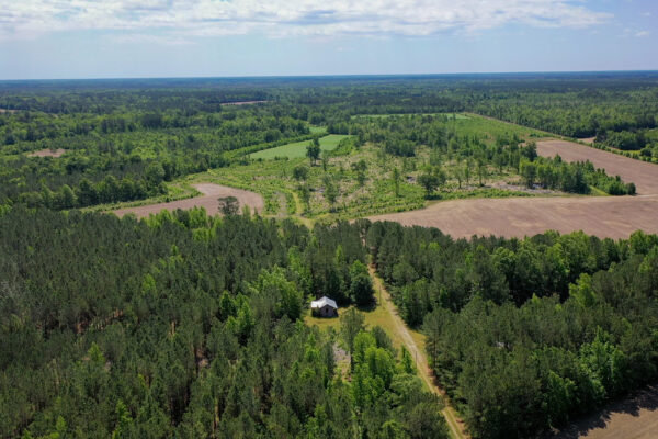 hunting property williamsburg county salters 230 acres chicken house farm