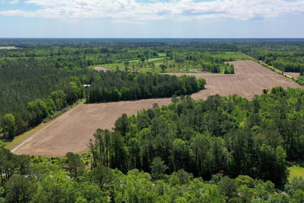 hunting property williamsburg county salters 230 acres chicken house farm