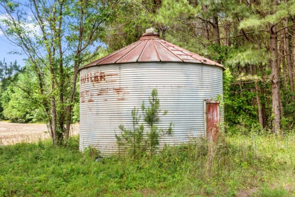 salters williamsburg county hunting land 230 acres