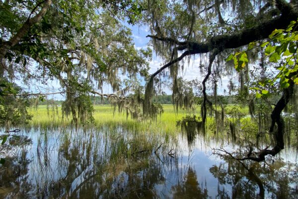 5 acres bears bluff wadmalaw island south carolina