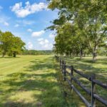 harrell farm meggett pecan orchard