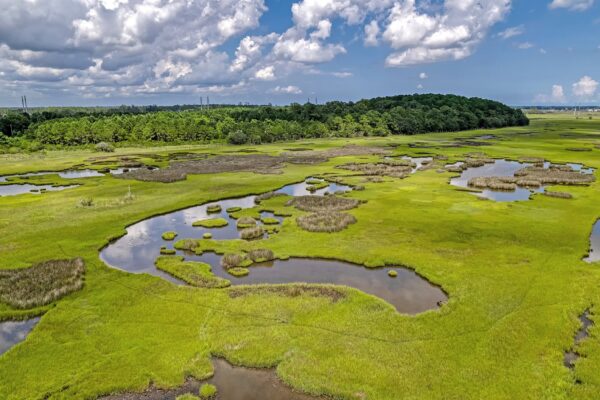 river road land for sale johns island