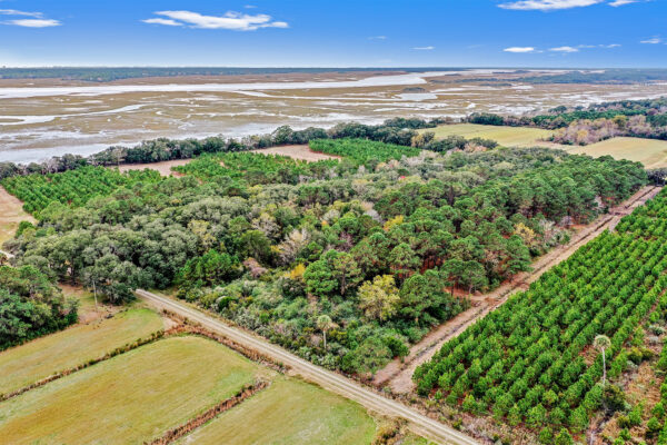 Agricultural estates on Johns Island, featuring ample homesites along the marshes of Chaplin's Creek, overlooking the Kiawah River