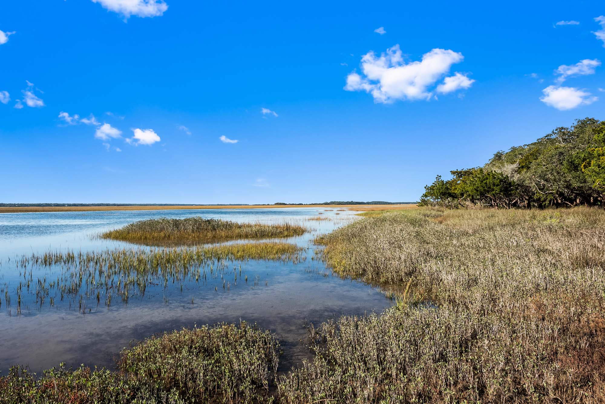 Legareville Farms, Agricultural estates on Johns Island, featuring ample homesites along the marshes of Chaplin's Creek, overlooking the Kiawah River