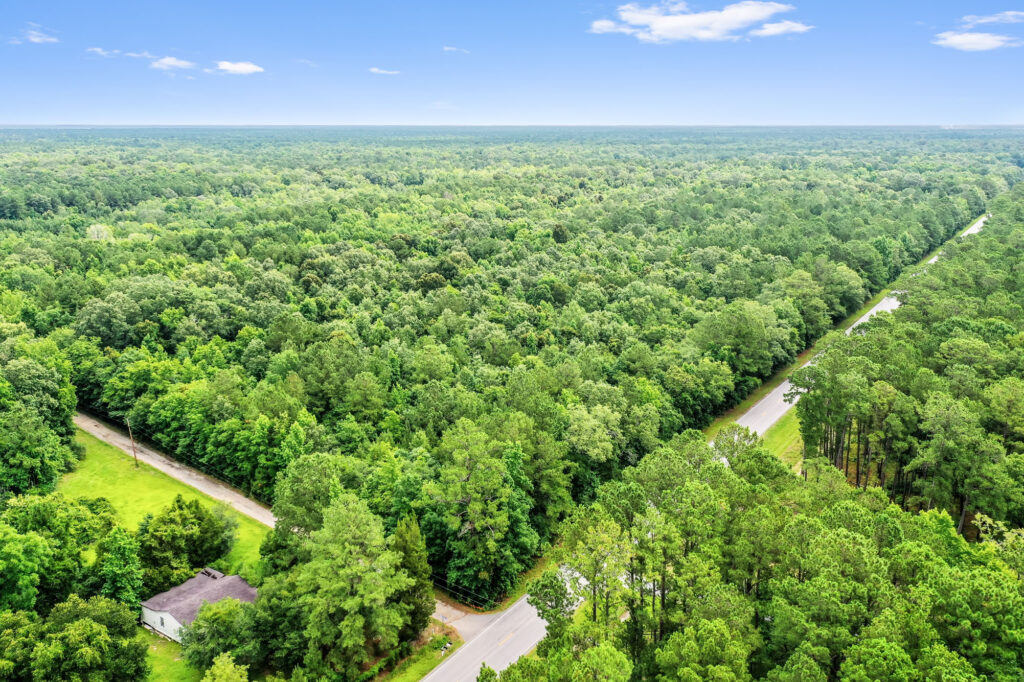 Coastal South Carolina Property for Sale Fair & Lane