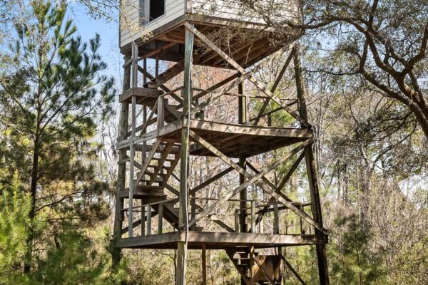 kinloch observation tower
