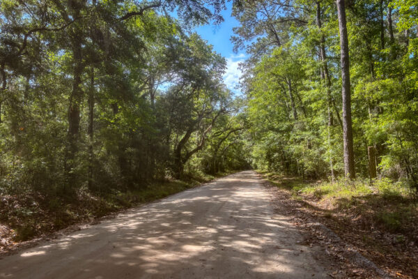 leadenwah drive